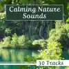 Calm Nature Oasis - Calming Nature Sounds - 30 Tracks with Super Relaxing Music for Peaceful Sleep, Relaxation & Stress Relief